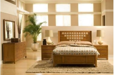 Ngon giấc hơn với 5 loại cây cảnh tốt cho không gian phòng ngủ