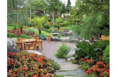 Các điều kiện cần có để thiết kế một sân vườn đẹp