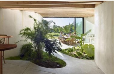 Cách kết hợp sử dụng cây xanh trong thiết kế nhà ở