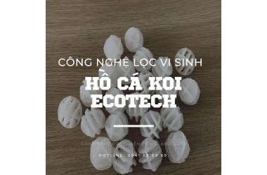 Công Nghệ Lọc Nước Vi Sinh Koi Ecotech, Công Nghệ Lọc Ưu Việt Cho Hồ Koi Zions Landscape