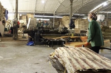Khó khăn bủa vây con đường trở thành trung tâm chế biến gỗ xuất khẩu thế giới