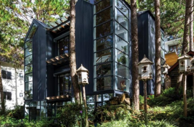 Bồ Câu House – Chiếc tổ giữa rừng thông