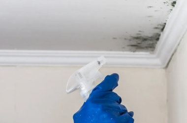 Mách bạn mẹo hay để loại bỏ nấm mốc trên trần nhà tắm